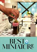 Watch Best in Miniature M4ufree