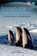 Watch Frozen Planet M4ufree