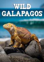 Watch Wild Galapagos M4ufree