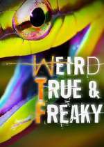 Watch Weird, True & Freaky M4ufree