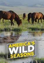 Watch America's Wild Seasons M4ufree