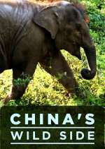 Watch China's Wild Side M4ufree