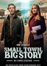 Watch Small Town, Big Story M4ufree