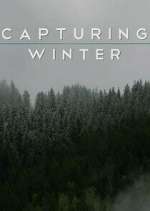 Watch Capturing Winter M4ufree