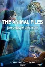 Watch The Animal Files M4ufree