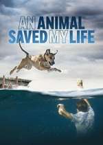 Watch An Animal Saved My Life M4ufree