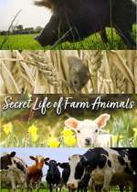 Watch Secret Life of Farm Animals M4ufree
