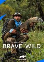 Watch Coyote Peterson: Brave the Wild M4ufree