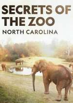 Watch Secrets of the Zoo: North Carolina M4ufree