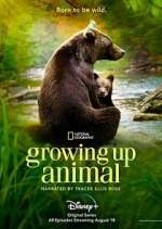 Watch Growing Up Animal M4ufree