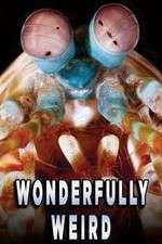 Watch Wonderfully Weird M4ufree
