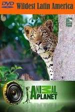 Watch Wildest Latin America M4ufree