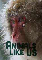Watch Animals Like Us M4ufree