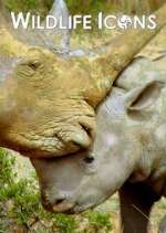 Watch Wildlife Icons M4ufree