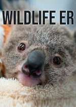 Watch Wildlife ER M4ufree