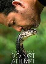 Watch David Blaine Do Not Attempt M4ufree