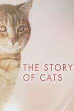Watch The Story of Cats M4ufree