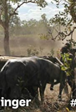 Watch Outback Ringer M4ufree