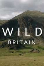 Watch Wild Britain M4ufree