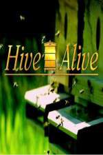 Watch Hive Alive M4ufree