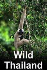 Watch Wild Thailand M4ufree