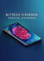 Watch Witness to Murder: Digital Evidence M4ufree
