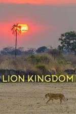 Watch Lion Kingdom M4ufree