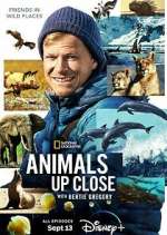 Watch Animals Up Close with Bertie Gregory M4ufree