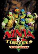 Watch Ninja Turtles: The Next Mutation M4ufree