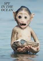 Watch Spy in the Ocean M4ufree