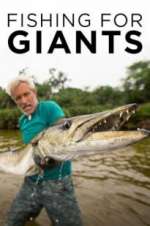 Watch Fishing for Giants M4ufree