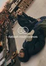 Watch Flatbush Misdemeanors M4ufree