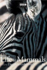 Watch The Life of Mammals M4ufree