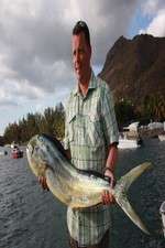 Watch King Fishers M4ufree