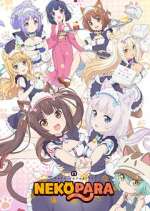 Watch Nekopara M4ufree
