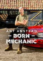 Watch Ant Anstead: Born Mechanic M4ufree