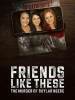 Watch Friends Like These: The Murder of Skylar Neese M4ufree