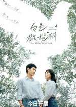 Watch The White Olive Tree M4ufree