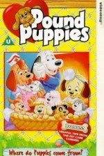 Watch Pound Puppies M4ufree