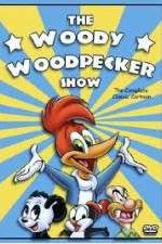 Watch The Woody Woodpecker Show M4ufree