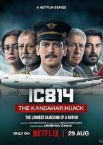 Watch IC 814: The Kandahar Hijack M4ufree