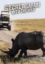 Watch Secret Safari: Into the Wild M4ufree