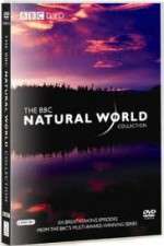 Watch The Natural World M4ufree