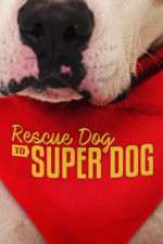 Watch Rescue Dog to Super Dog (US) M4ufree