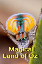 Watch Magical Land of Oz M4ufree