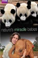 Watch Natures Miracle Babies M4ufree
