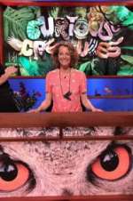 Watch Curious Creatures M4ufree