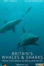 Watch Britain's Whales and Sharks M4ufree