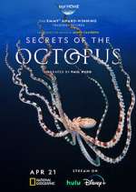 Watch Secrets of the Octopus M4ufree