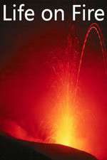 Watch Life on Fire M4ufree